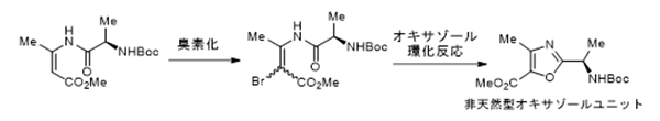 ブロモ環化反応を利用した非天然型オキサゾールユニットの合成