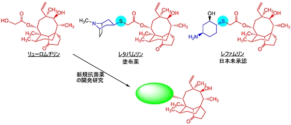 多剤耐性菌に有効かつ交差耐性のない新規抗菌薬の創製研究